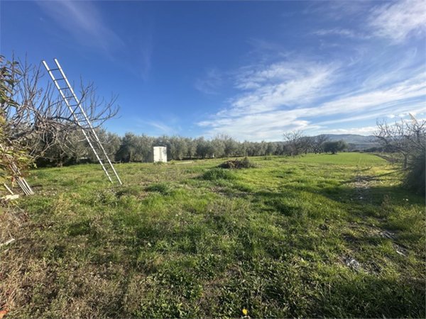 casa indipendente in vendita a Castellalto in zona Castelnuovo Vomano