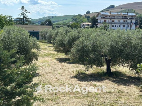 terreno agricolo in vendita a Castiglione Messer Raimondo