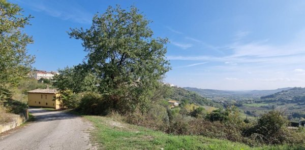 immagine annuncio 0 di 14
