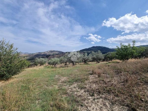 terreno agricolo in vendita a Cellino Attanasio