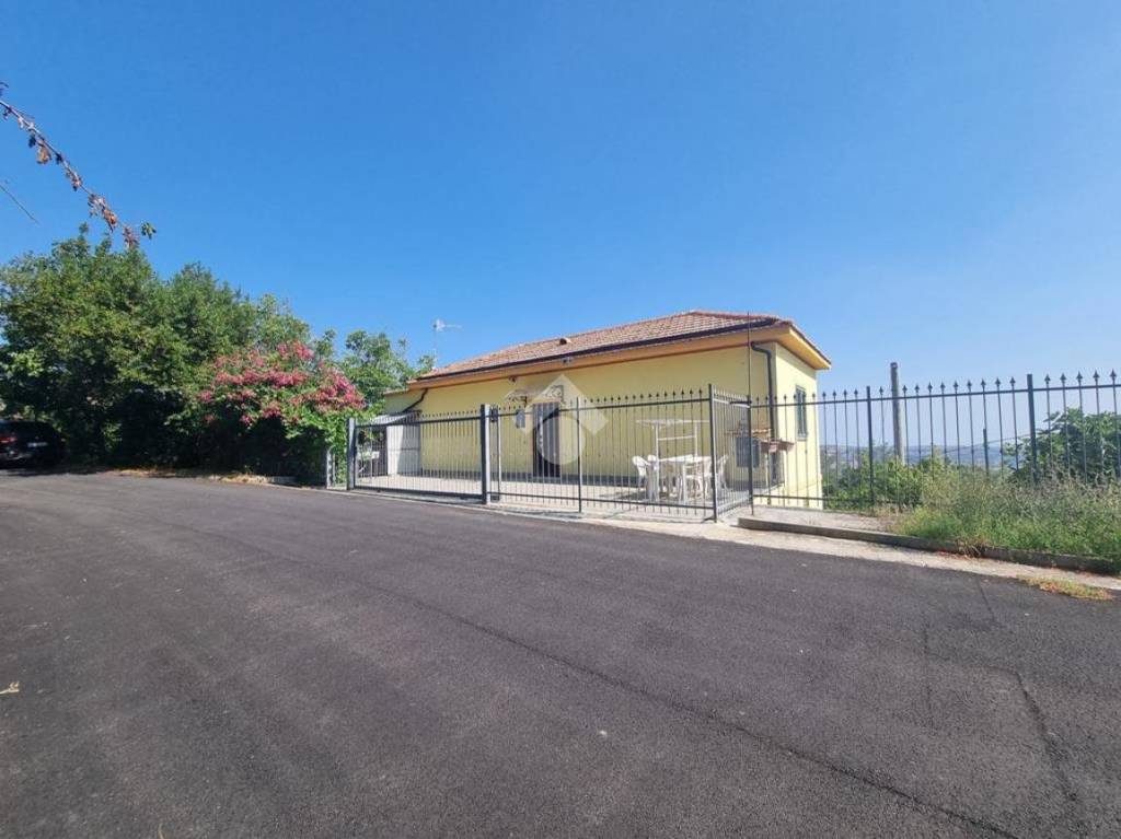 immagine annuncio 0 di 15