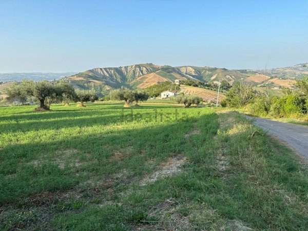 terreno agricolo in vendita a Cellino Attanasio