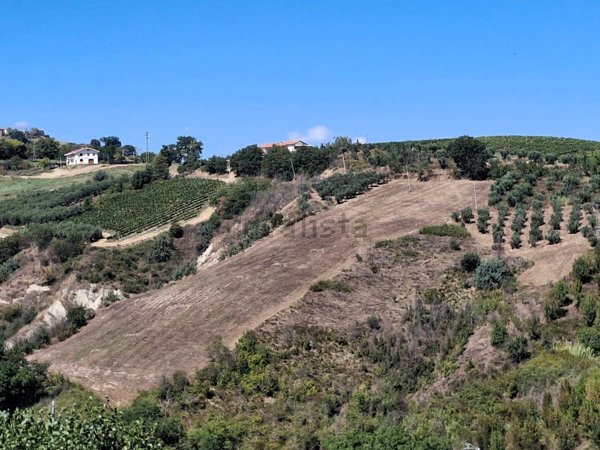 terreno agricolo in vendita a Cellino Attanasio