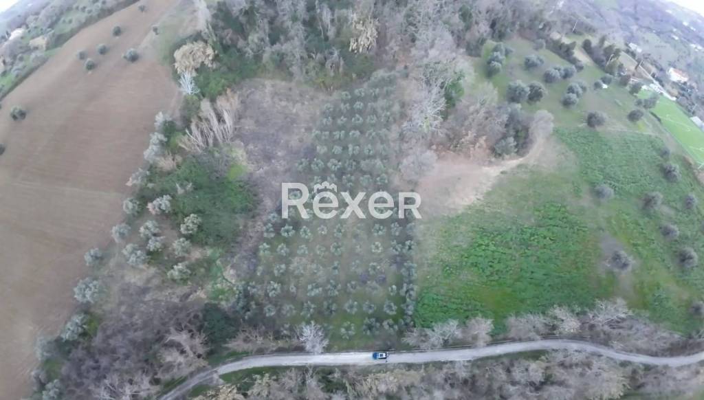 terreno agricolo in vendita a Cellino Attanasio