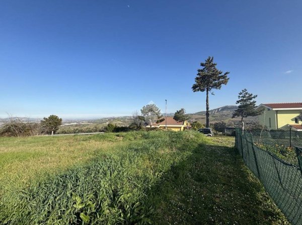 terreno agricolo in vendita a Cellino Attanasio