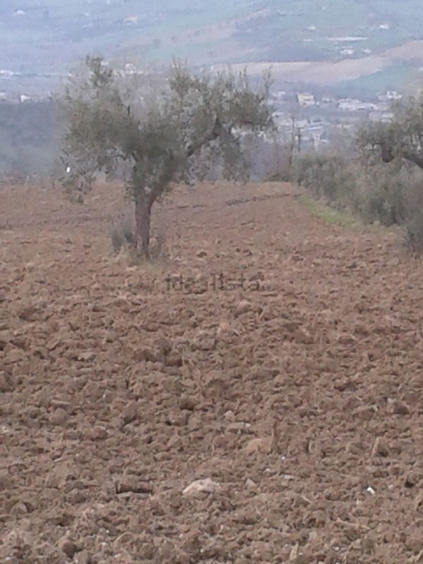 casa indipendente in vendita a Cermignano