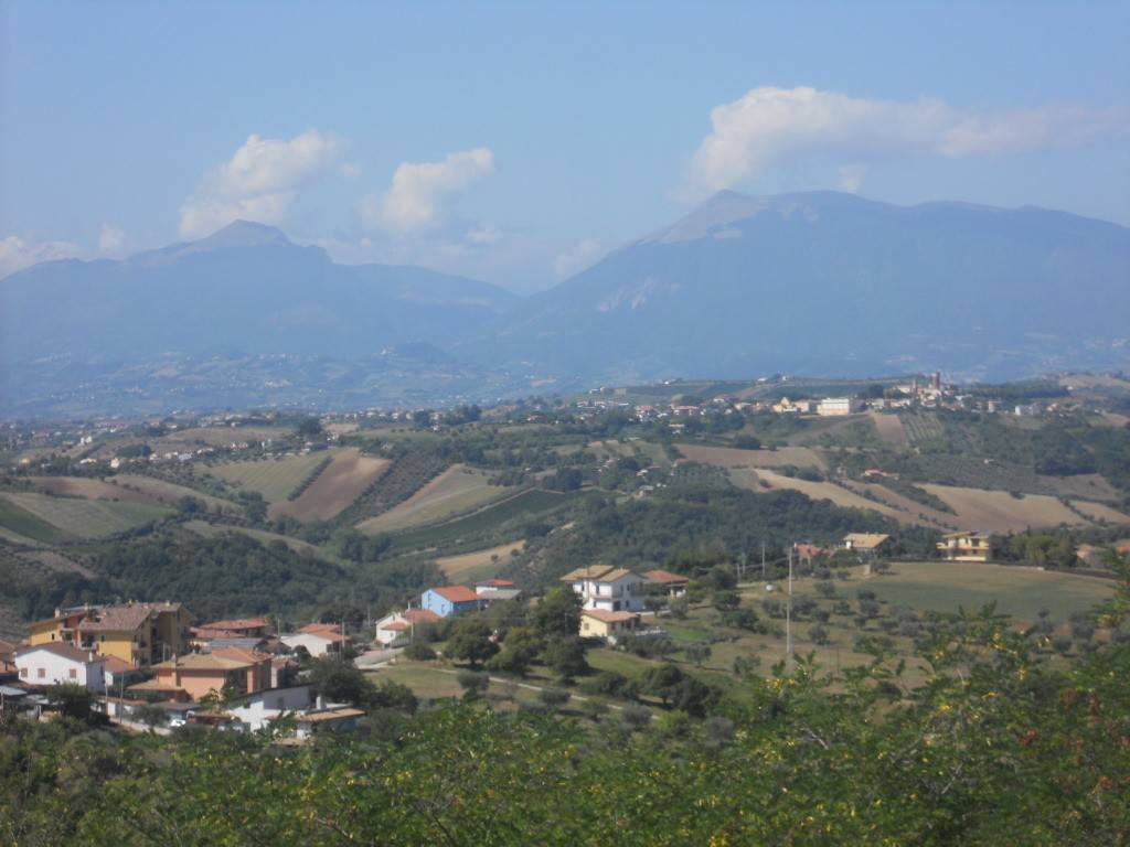 terreno agricolo in vendita a Colonnella