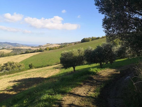 terreno agricolo in vendita a Colonnella