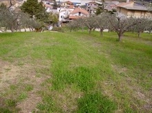 terreno edificabile in vendita a Colonnella