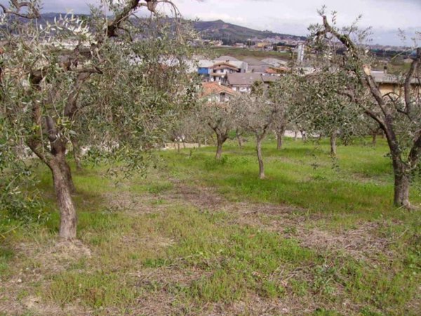 terreno edificabile in vendita a Colonnella