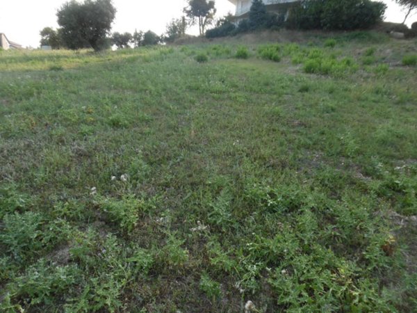 terreno edificabile in vendita a Colonnella