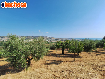 casa indipendente in vendita a Colonnella