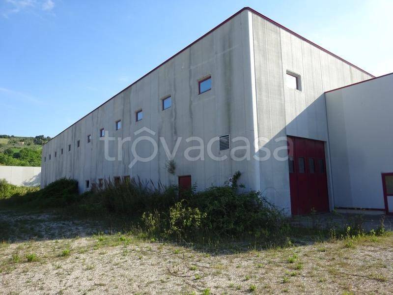 capannone in vendita a Colonnella