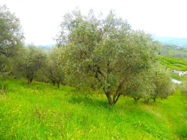 terreno edificabile in vendita a Colonnella