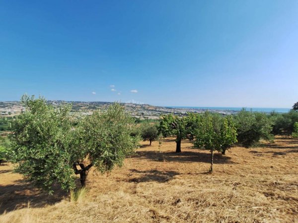 casa indipendente in vendita a Colonnella