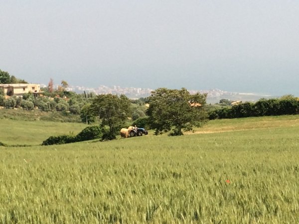 terreno edificabile in vendita a Colonnella