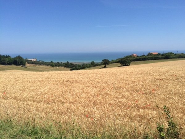 terreno edificabile in vendita a Colonnella