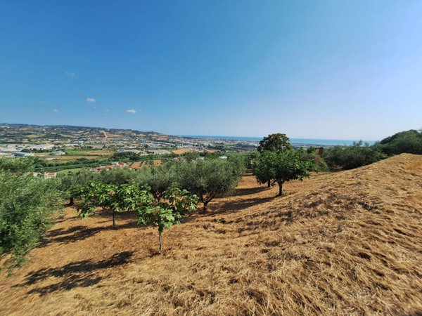 casa indipendente in vendita a Colonnella