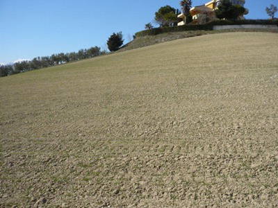 terreno edificabile in vendita a Colonnella