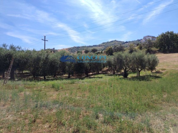 immagine annuncio 0 di 4