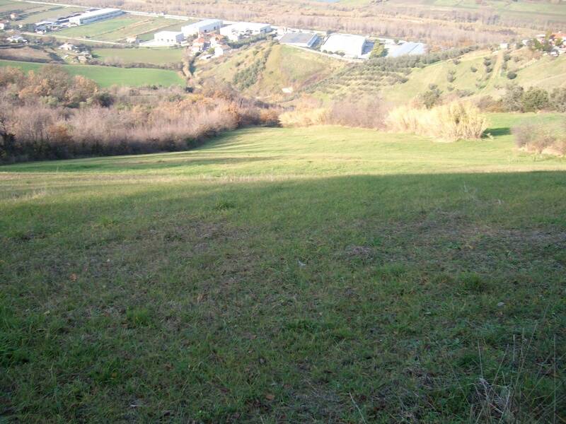 terreno agricolo in vendita a Colonnella