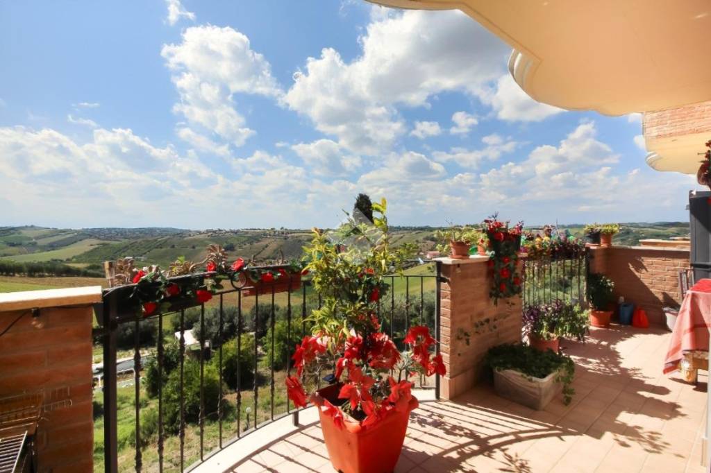 immagine annuncio 0 di 15