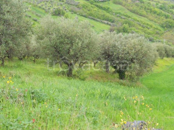 terreno edificabile in vendita a Colonnella