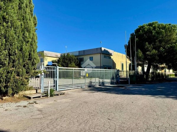 locale commerciale in vendita a Colonnella