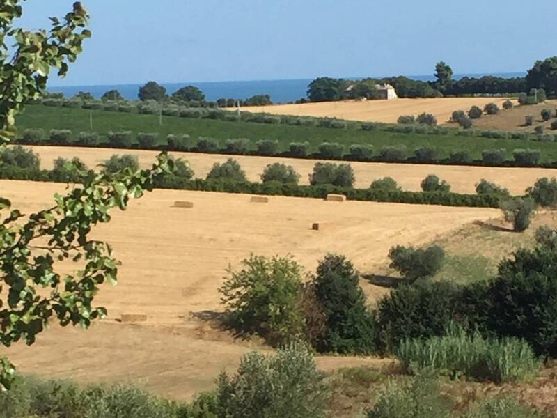 terreno edificabile in vendita a Colonnella in zona Vibrata