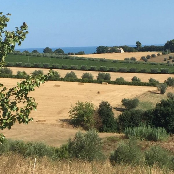 negozio in vendita a Colonnella