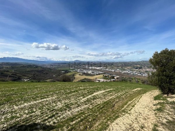 terreno agricolo in vendita a Colonnella