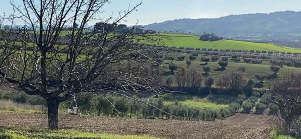 terreno edificabile in vendita a Colonnella in zona Vibrata