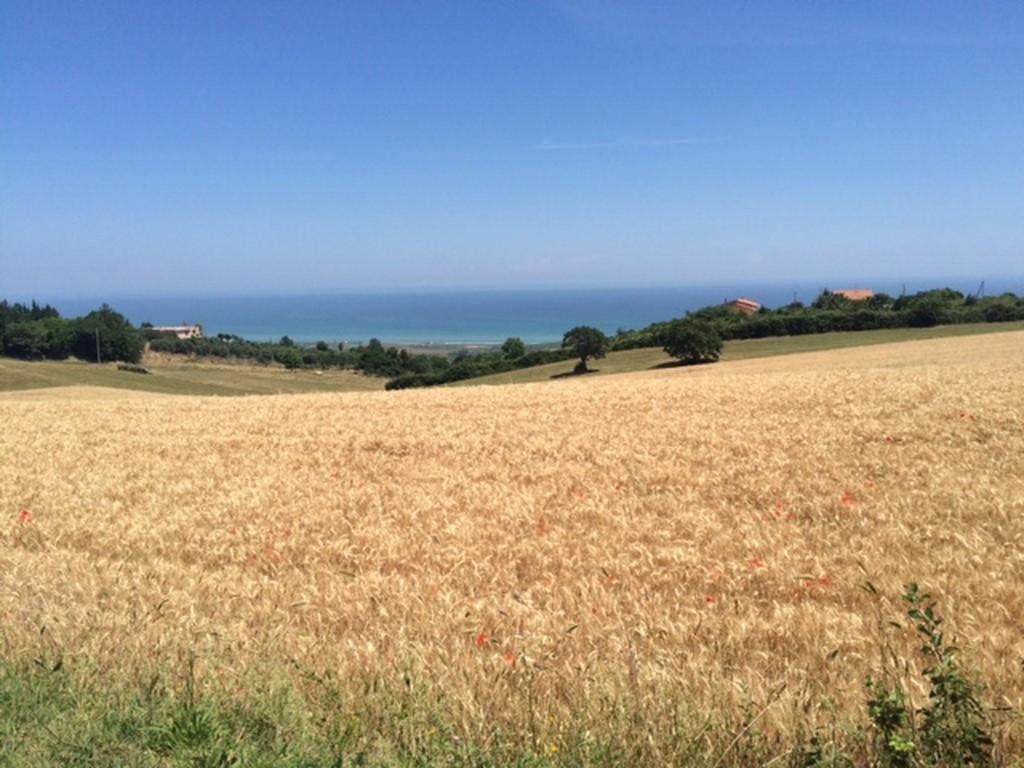casa indipendente in vendita a Colonnella