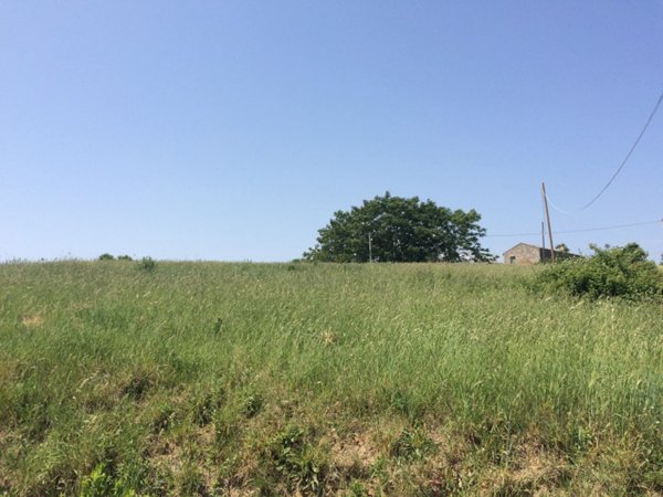 terreno edificabile in vendita a Colonnella