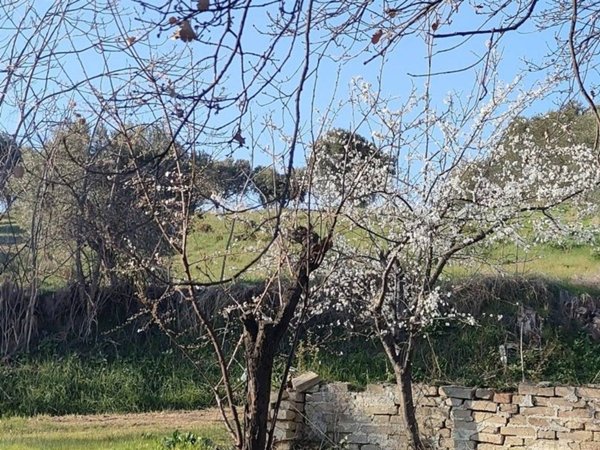 terreno edificabile in vendita a Colonnella