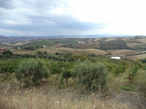 casa indipendente in vendita a Colonnella