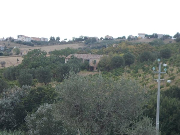 pentavano in vendita a Colonnella