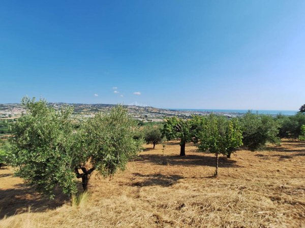 casa indipendente in vendita a Colonnella