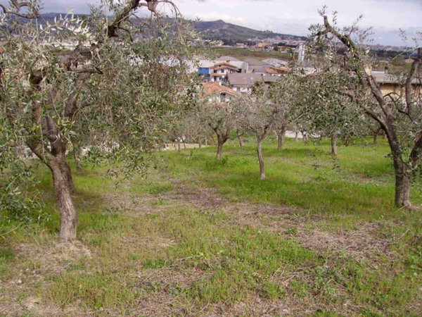 terreno edificabile in vendita a Colonnella in zona San Giovanni