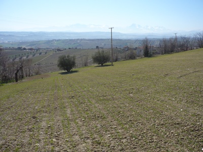 terreno edificabile in vendita a Colonnella in zona San Martino