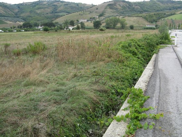 locale di sgombero in vendita a Controguerra