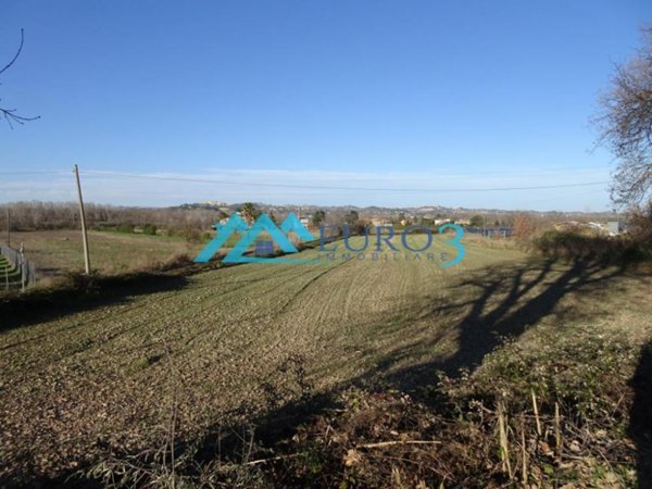 terreno agricolo in vendita a Controguerra
