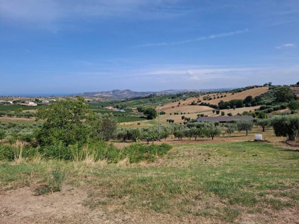 terreno agricolo in vendita a Controguerra