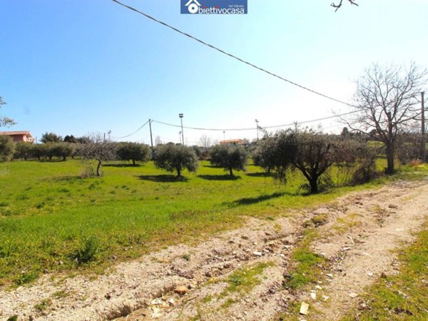 terreno agricolo in vendita a Controguerra