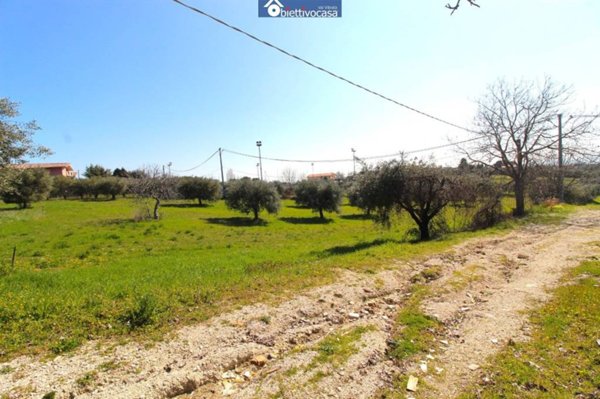 terreno agricolo in vendita a Controguerra