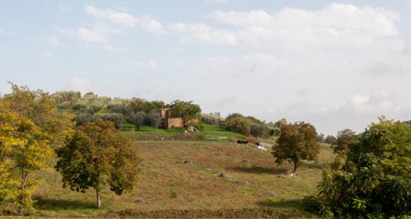 casa indipendente in vendita a Controguerra