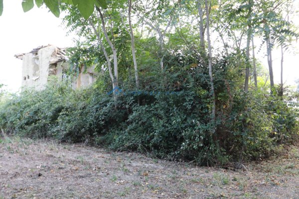 pentavano in vendita a Controguerra