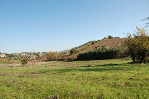 terreno agricolo in vendita a Controguerra
