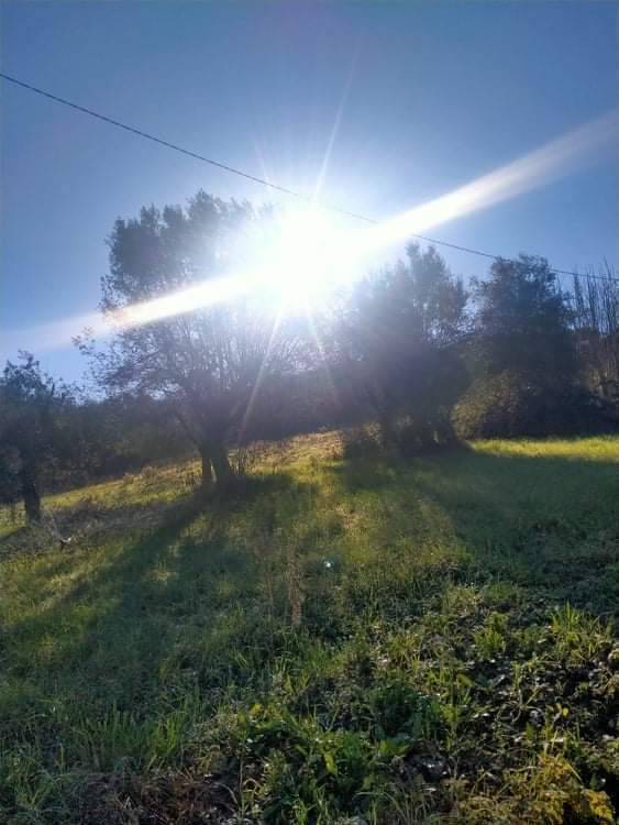 casa indipendente in vendita a Controguerra