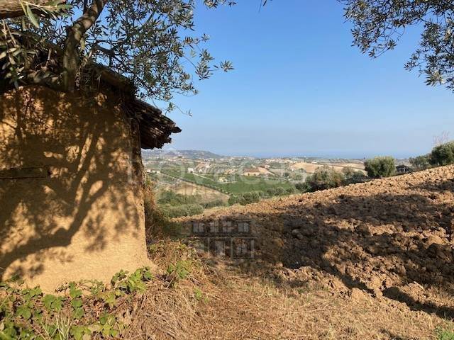 immagine annuncio 0 di 8